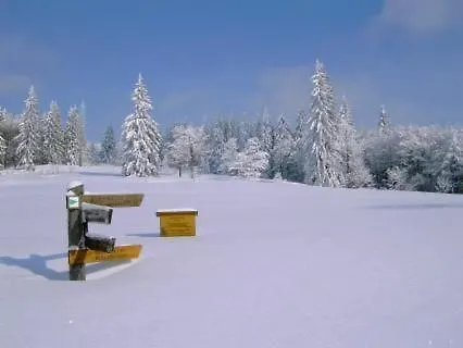 Ferienhaus Wildfeuer