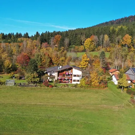 Lejlighed Ferienhaus Wildfeuer Kirchdorf im Wald