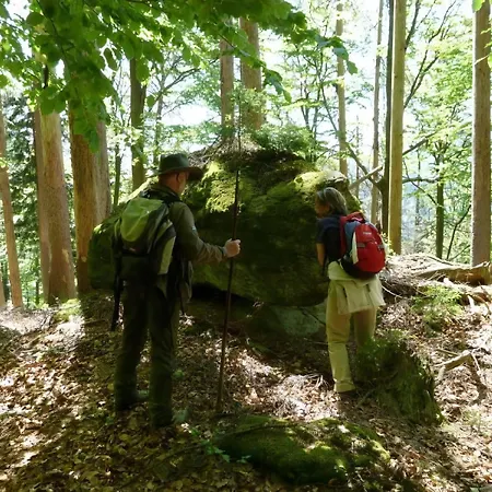 Ferienhaus Wildfeuer Lejlighed Kirchdorf im Wald